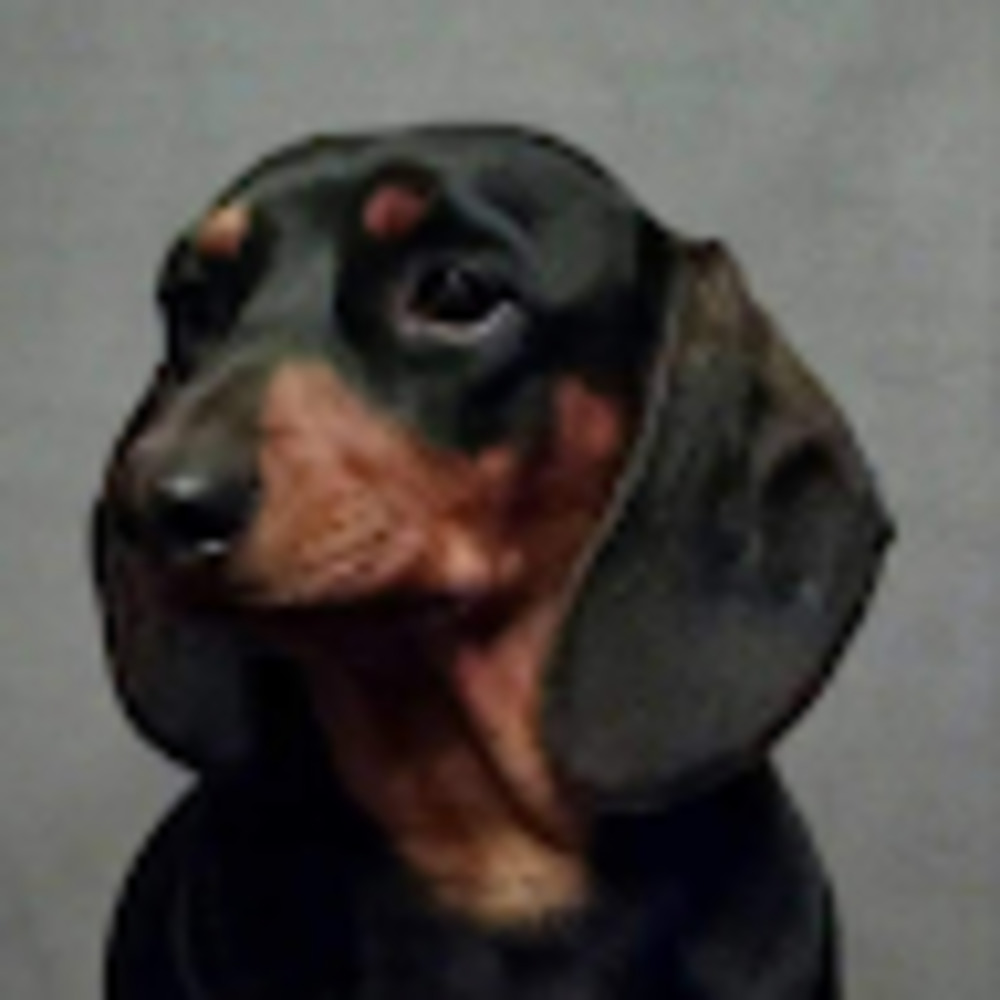 Meet your Posher, Jason